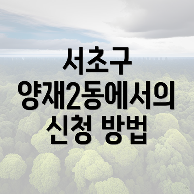 서초구 양재2동에서의 신청 방법