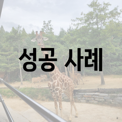 성공 사례