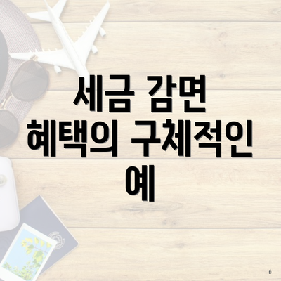 세금 감면 혜택의 구체적인 예