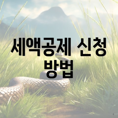 세액공제 신청 방법