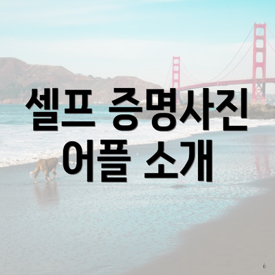 셀프 증명사진 어플 소개