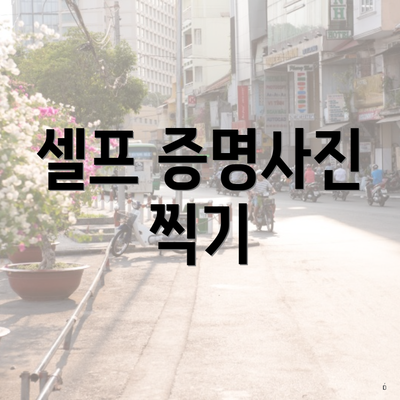 셀프 증명사진 찍기