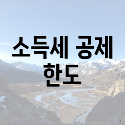 소득세 공제 한도