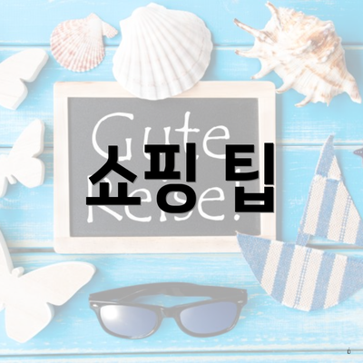 쇼핑 팁