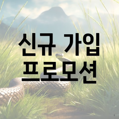 신규 가입 프로모션