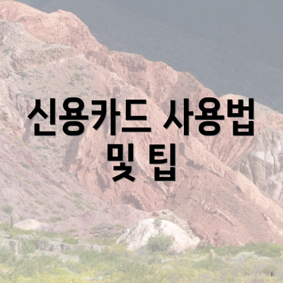신용카드 사용법 및 팁