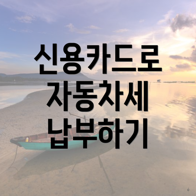 신용카드로 자동차세 납부하기