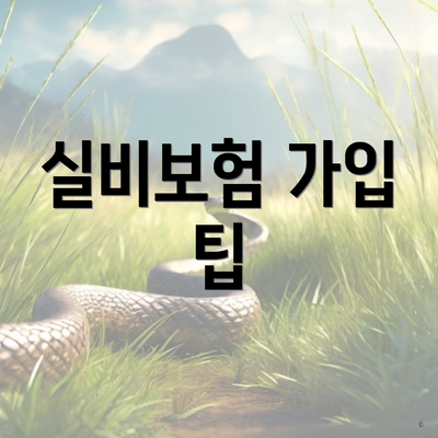 실비보험 가입 팁