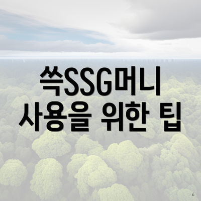 쓱SSG머니 사용을 위한 팁