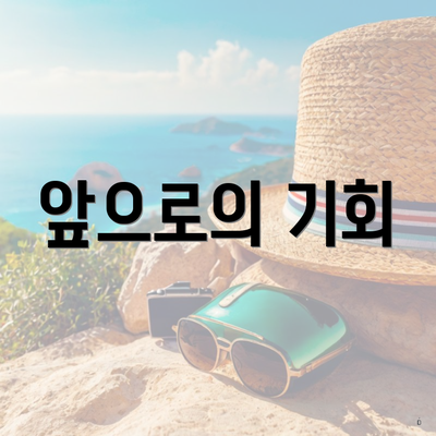 앞으로의 기회