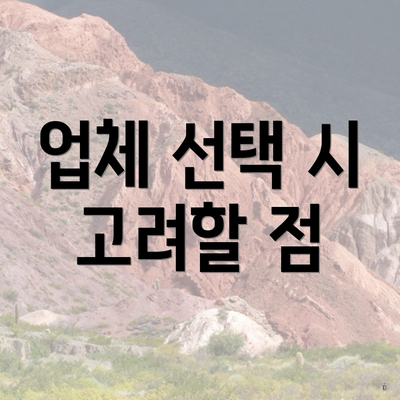 업체 선택 시 고려할 점