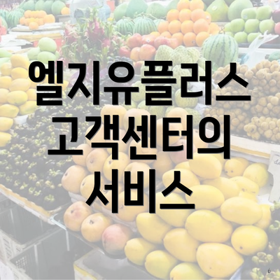 엘지유플러스 고객센터의 서비스