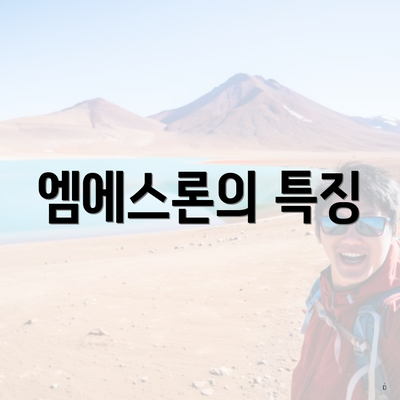 엠에스론의 특징
