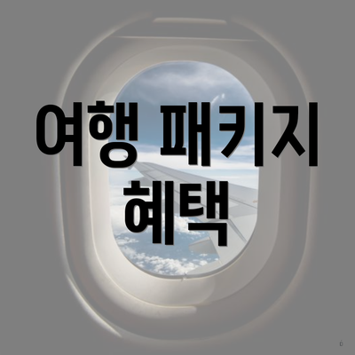 여행 패키지 혜택