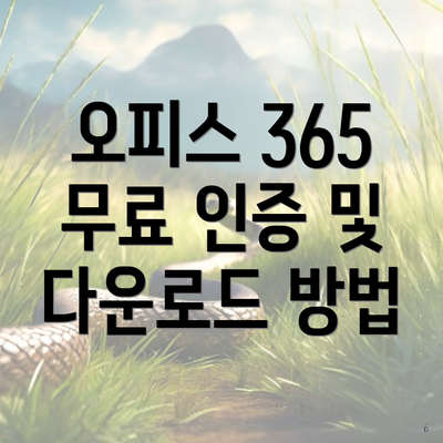 오피스 365 무료 인증 및 다운로드 방법