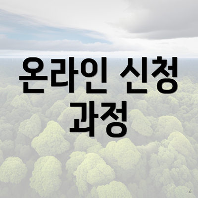 온라인 신청 과정