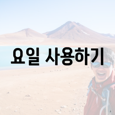 요일 사용하기