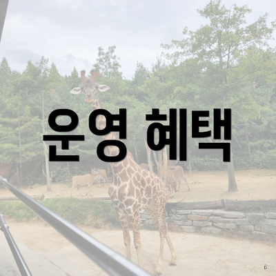 운영 혜택