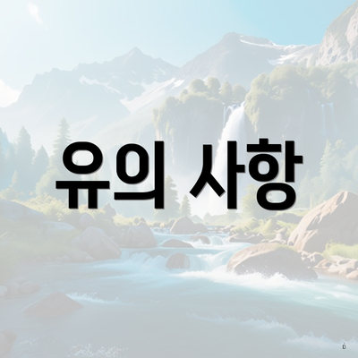 유의 사항