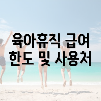 육아휴직 급여 한도 및 사용처