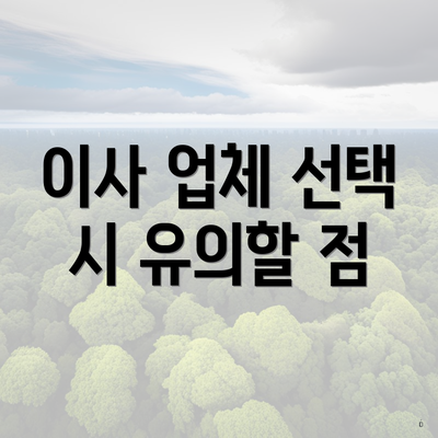 이사 업체 선택 시 유의할 점