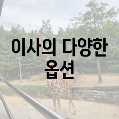이사의 다양한 옵션