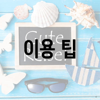 이용 팁