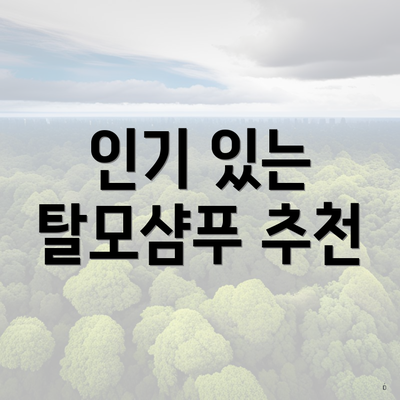 인기 있는 탈모샴푸 추천