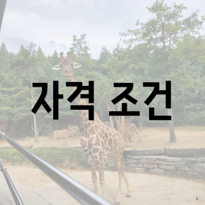 자격 조건