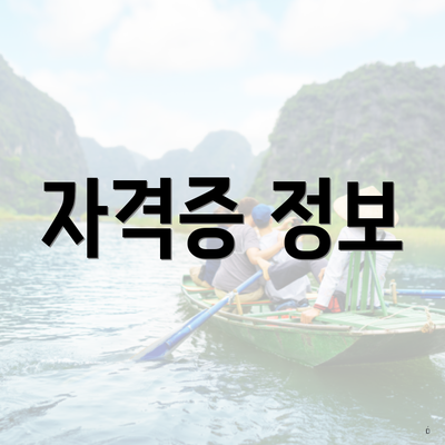 자격증 정보