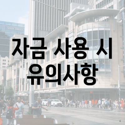 자금 사용 시 유의사항