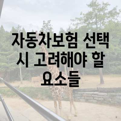 자동차보험 선택 시 고려해야 할 요소들