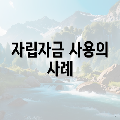 자립자금 사용의 사례