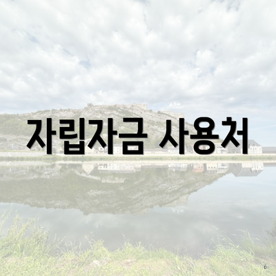 자립자금 사용처