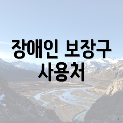 장애인 보장구 사용처