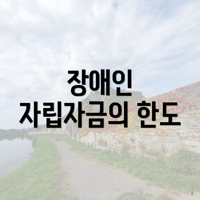 장애인 자립자금의 한도