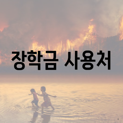 장학금 사용처