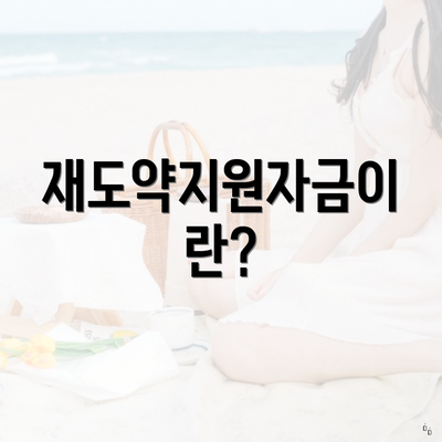 재도약지원자금이란?