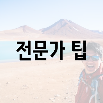 전문가 팁