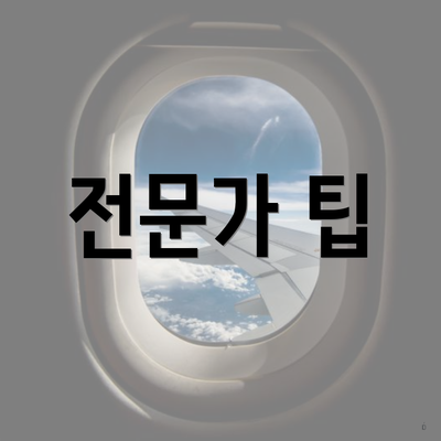 전문가 팁