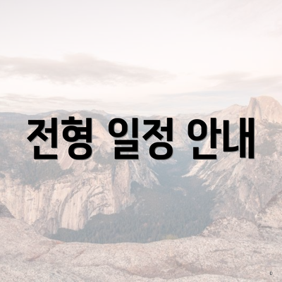 전형 일정 안내