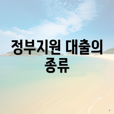 정부지원 대출의 종류