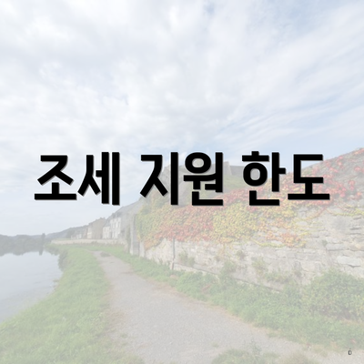 조세 지원 한도