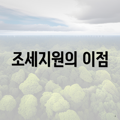 조세지원의 이점