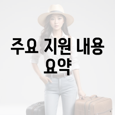 주요 지원 내용 요약