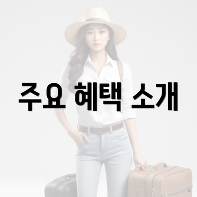 주요 혜택 소개