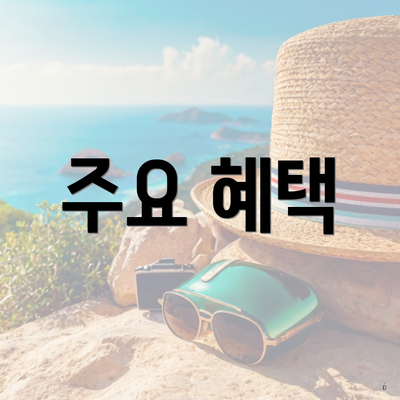 주요 혜택