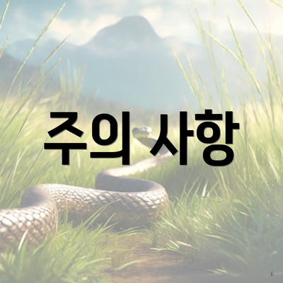 주의 사항