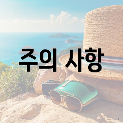 주의 사항