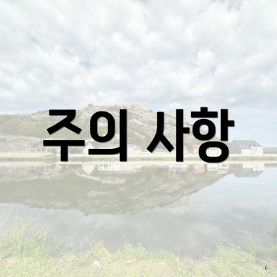 주의 사항